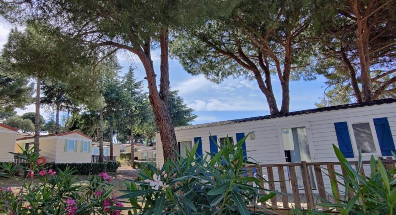 Domaine Residentiel De Plein Air Odalys La Pinede Agde Buitenkant foto