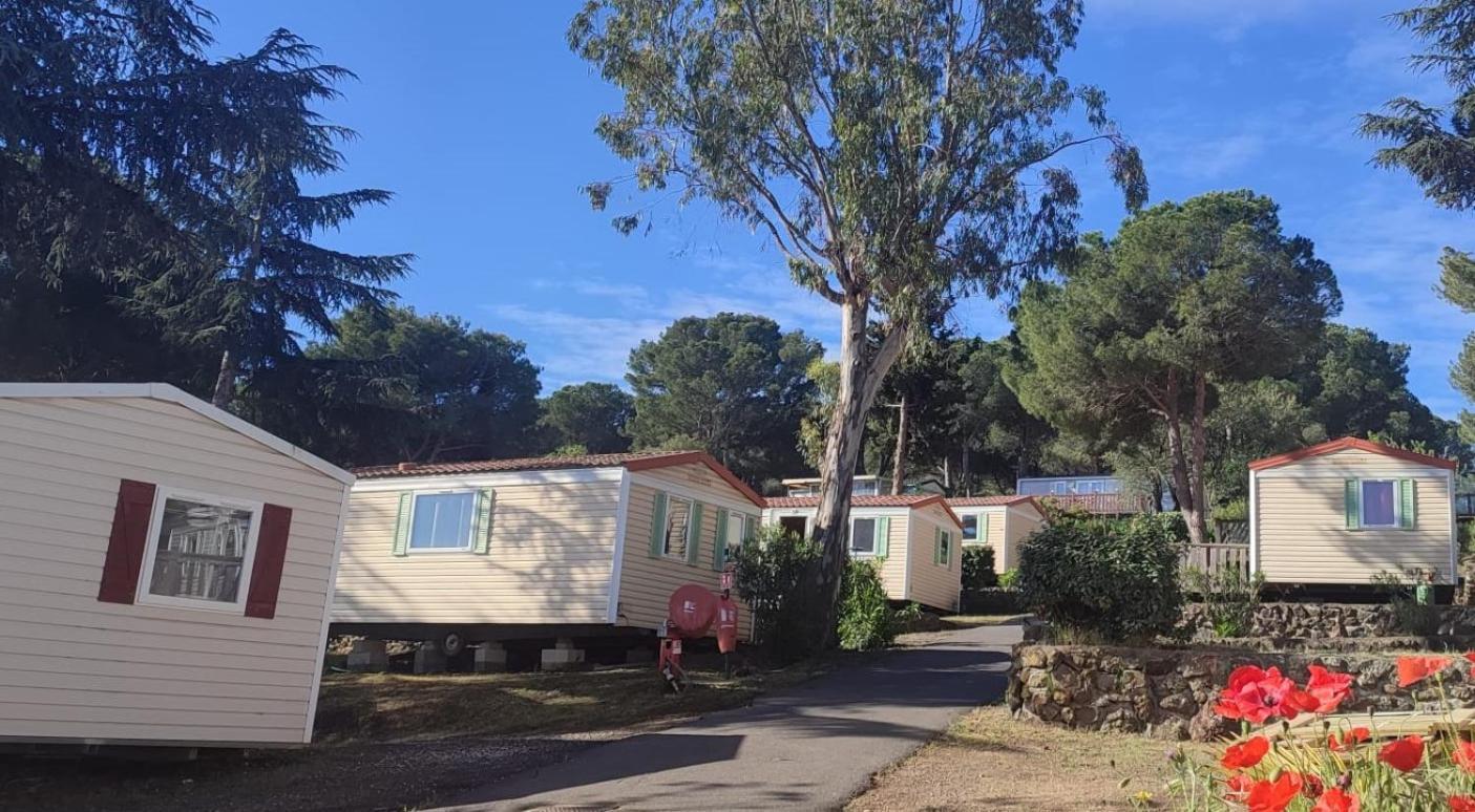 Domaine Residentiel De Plein Air Odalys La Pinede Agde Buitenkant foto