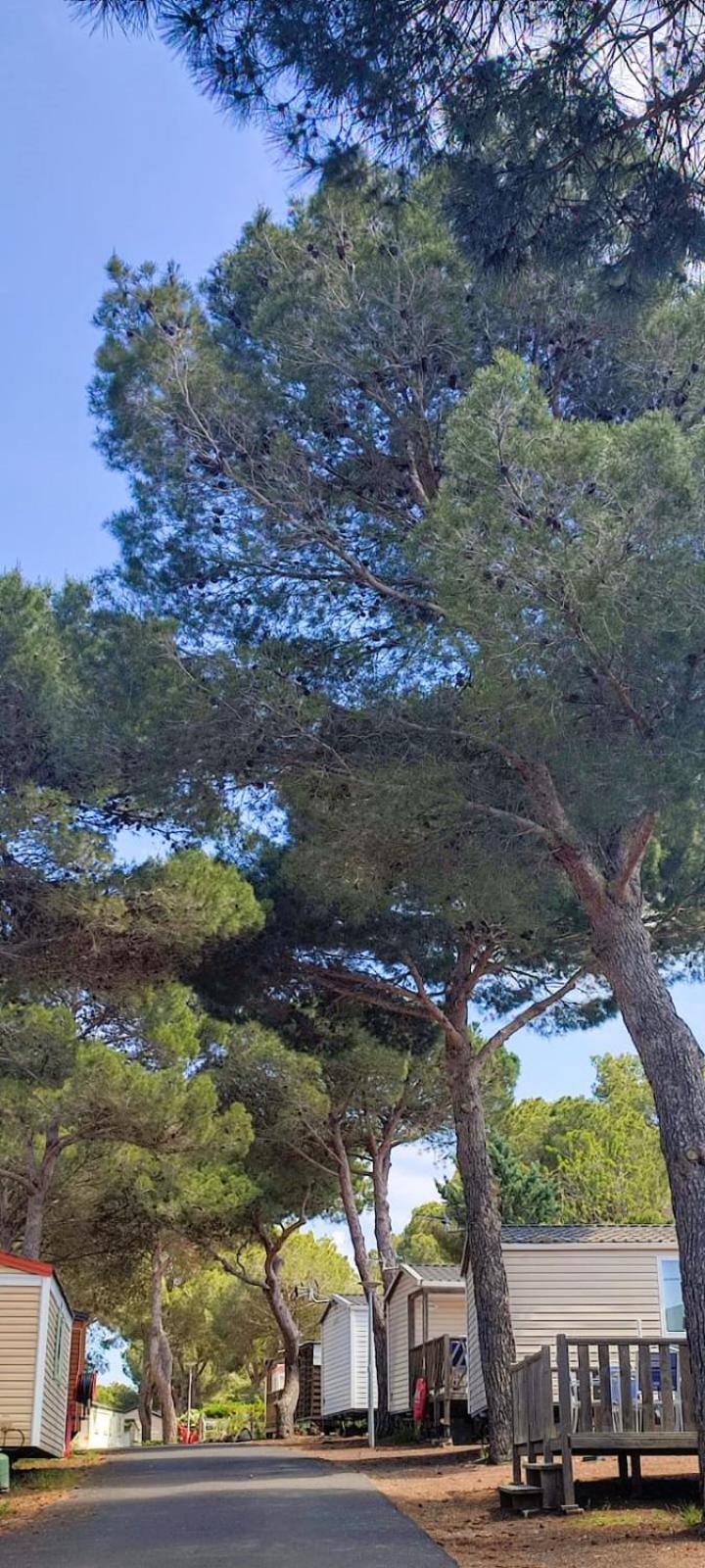 Domaine Residentiel De Plein Air Odalys La Pinede Agde Buitenkant foto