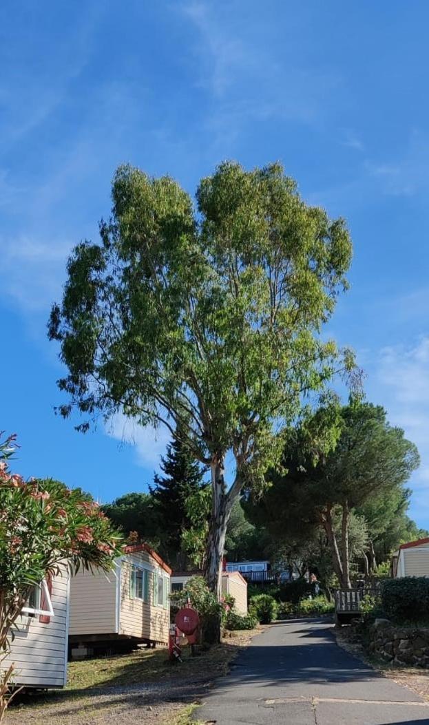 Domaine Residentiel De Plein Air Odalys La Pinede Agde Buitenkant foto