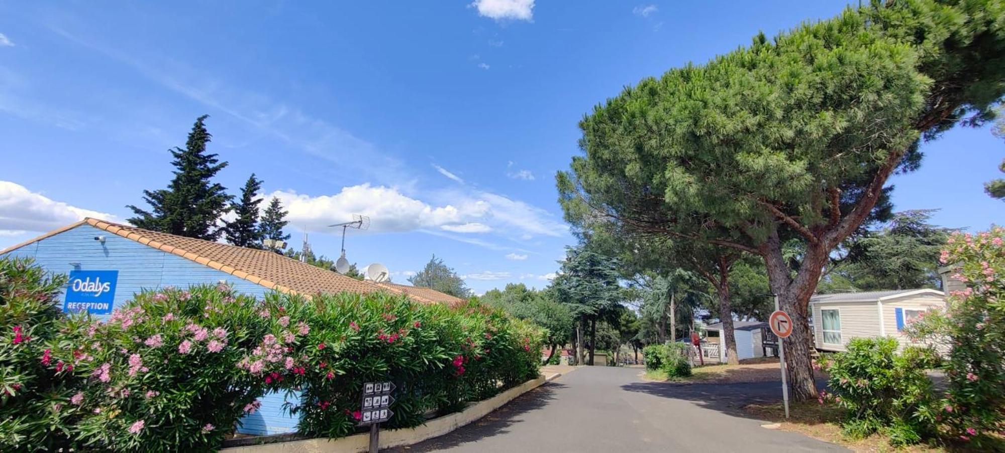 Domaine Residentiel De Plein Air Odalys La Pinede Agde Buitenkant foto
